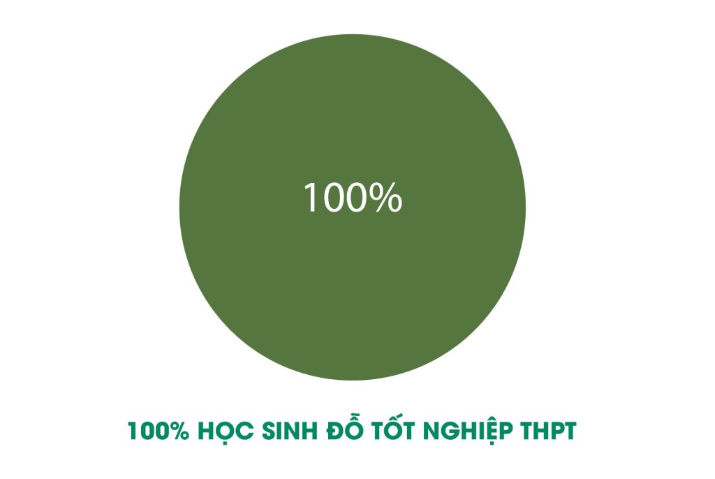 thanh-tich-thi-tot-nghiep-thpt-2024-tai-toanvn