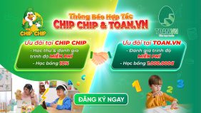 toanvn-hop-tac-cung-chip-chip