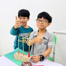 Stem-lop-4